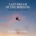 JOHN BUTCHER Last Dream Of The Morning [Butcher, Edwards, Sanders] : Crucial Anatomy album cover
